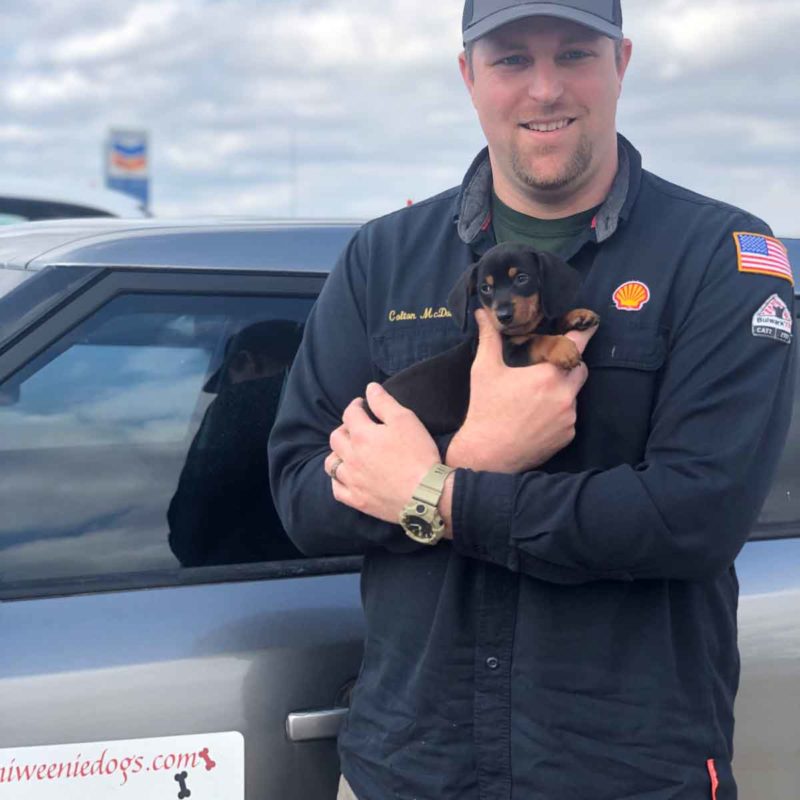 Miniweeniedogs-happy-clients-2